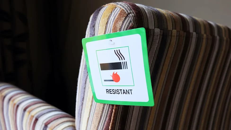 Banned Flame Retardants Still Linger: PBDEs Found in European Homes, Soils and Food Webs