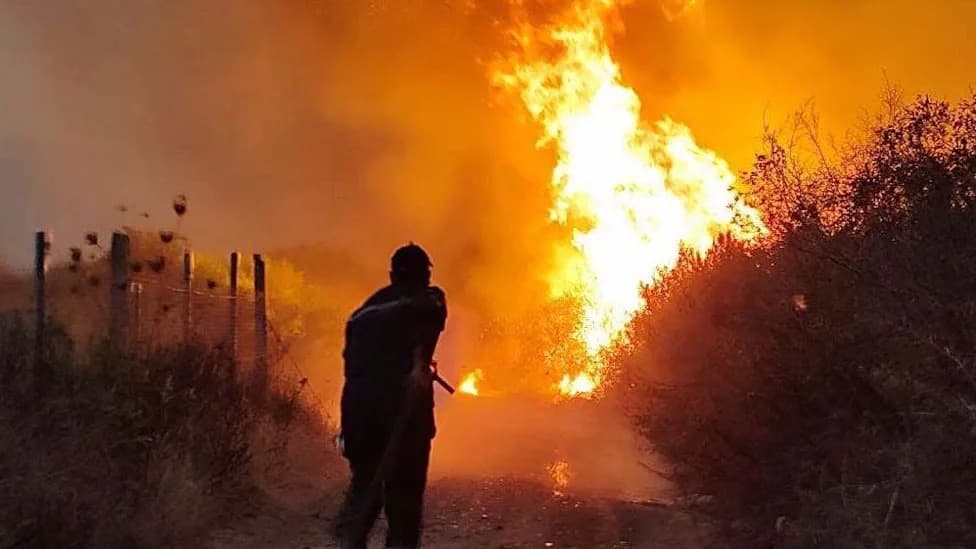 After Deadly Wildfires, Algeria's President Seeks Death Penalty for Intentional Arsonists