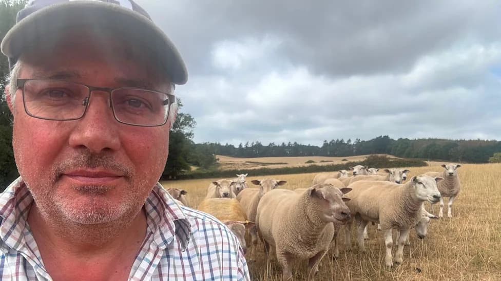 Bluetongue Outbreak Leaves South‑West Farmers Grieving and Wary of Long‑Term Damage