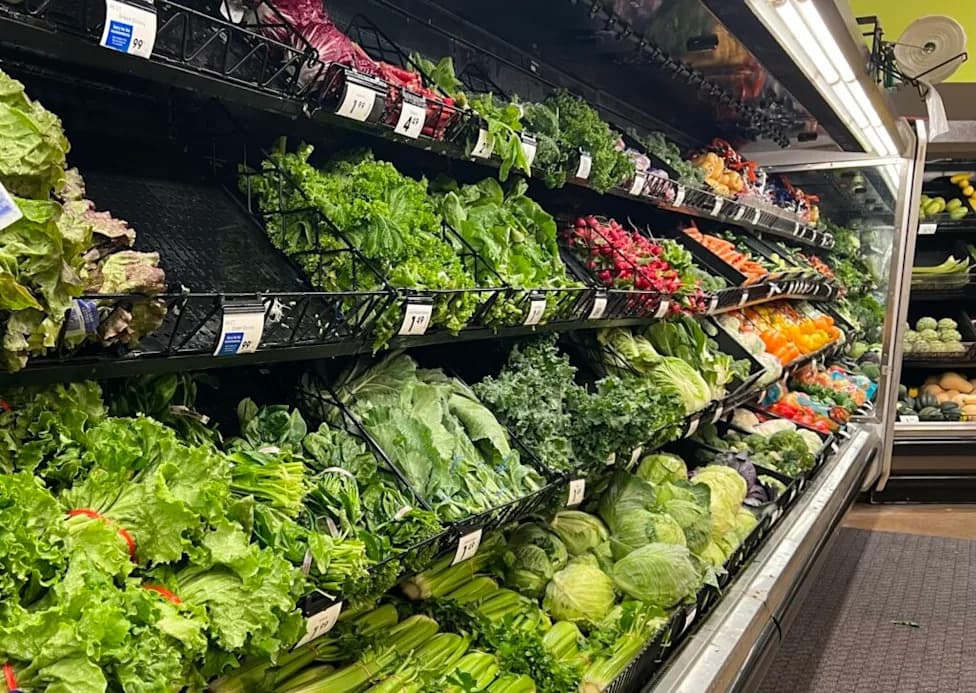 Record Cyclospora Outbreak Tied to Iceberg Lettuce Exposes Gaps in U.S. Food Safety