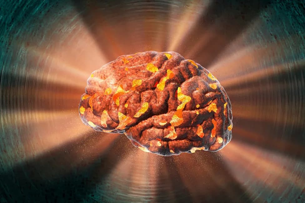 Why Some Ancient Human Brains Survive Millennia: The Oxygen-Free Preservation Mystery