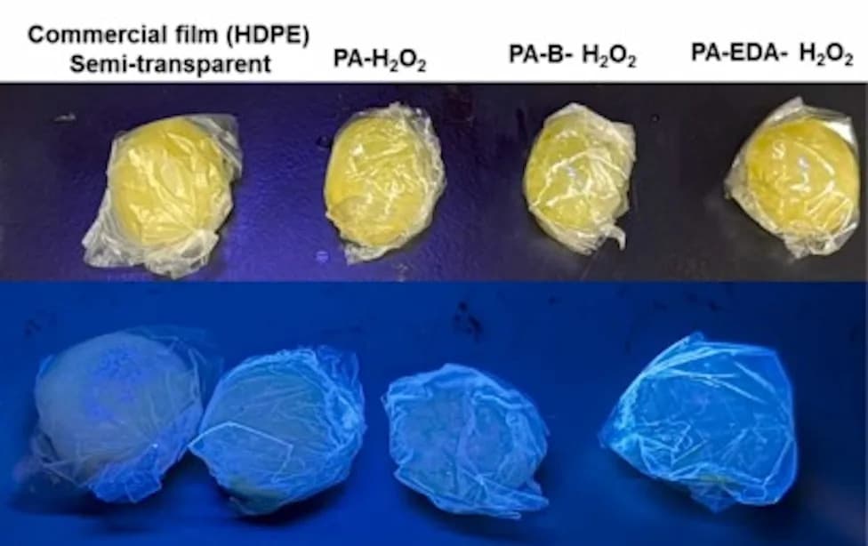 Japanese Scientists Upcycle Microplastics Into Fluorescent Quantum Dots For UV‑Blocking Food Films