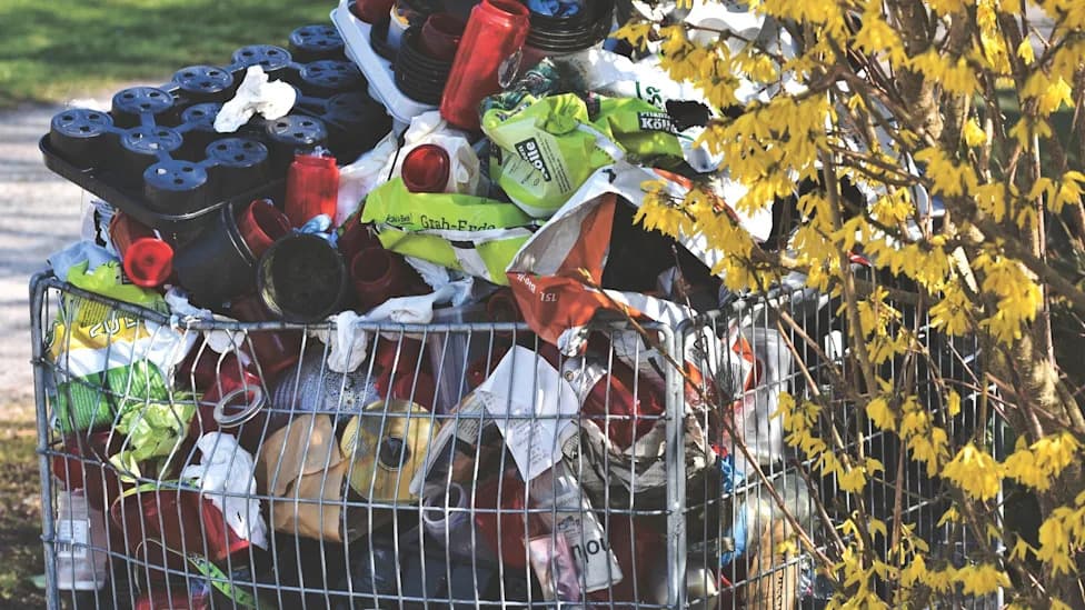 From Leftovers to Livestock Feed: Scientists Turn Restaurant Waste into High-Quality Protein and DHA-Rich Oils
