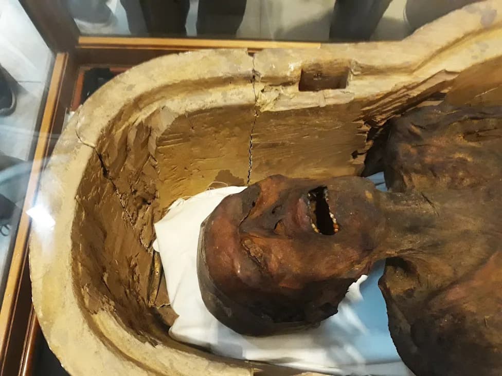 The 3,000-Year-Old Mummy Frozen Mid-Scream: A Pale Death Mystery from Ancient Egypt