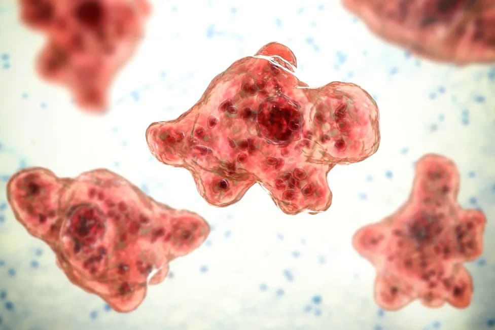 North Carolina Teen Is Second U.S. Fatality From 'Brain-Eating' Amoeba in Two Weeks