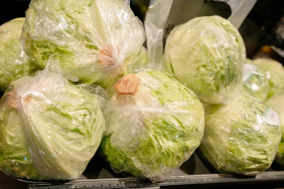 Recalled Iceberg Lettuce Off Shelves — Why Are Cyclospora Cases Still Rising?