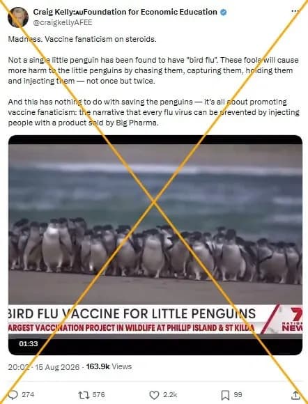 Australia Vaccinates Little Penguins Against H5N1 as Misinformation Spreads