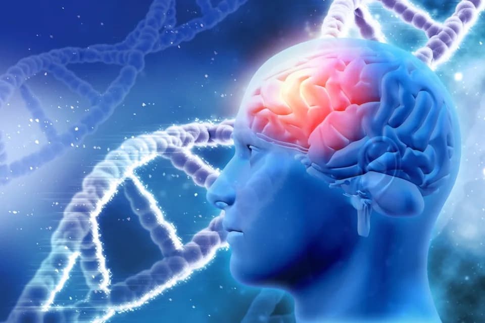 Why Some APOE4 Carriers Avoid Alzheimer's: 44 Genetic Clues and a Myelin Connection