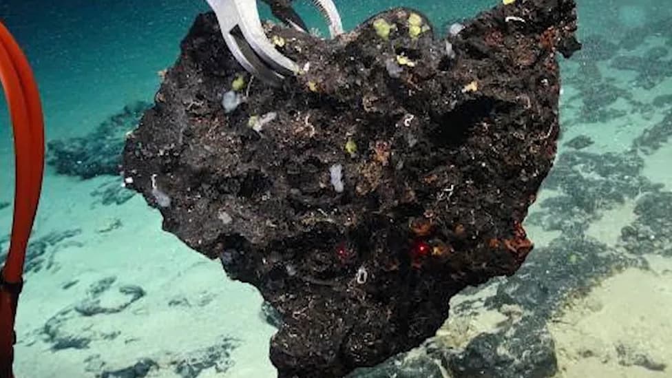 US Moves Toward First Commercial Deep-Sea Mining Lease Near American Samoa — Environmental Risks And Battery Context