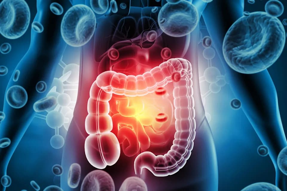 New Human Study Finds Gut Bacteria Associated With Brain Neurochemistry — Unexpected Links in Visual Cortex