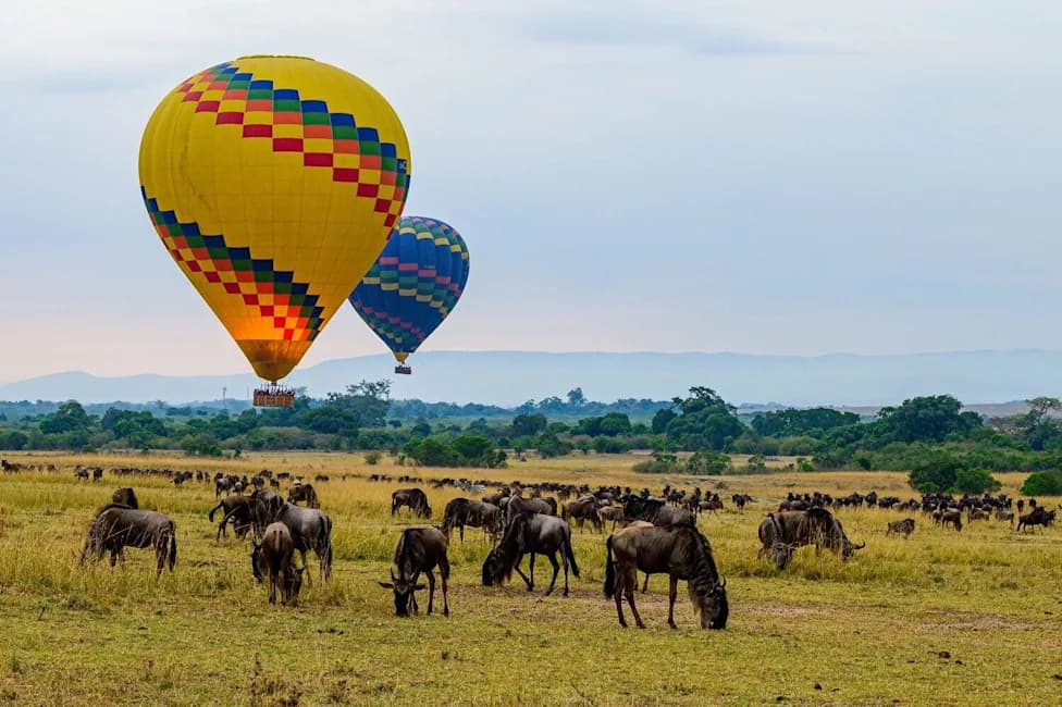 Cellphone Location Data Reveals How 37 Animal Species Changed Behavior During the COVID 'Anthropause'