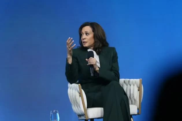 Kamala Harris Says She'll Help Where Wanted After Some Democrats Tell Her 'No Thanks'