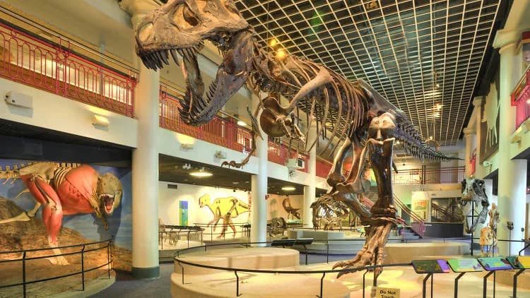 America’s Oldest Natural History Museum Will Close Sept. 30 — Last Chance To Visit