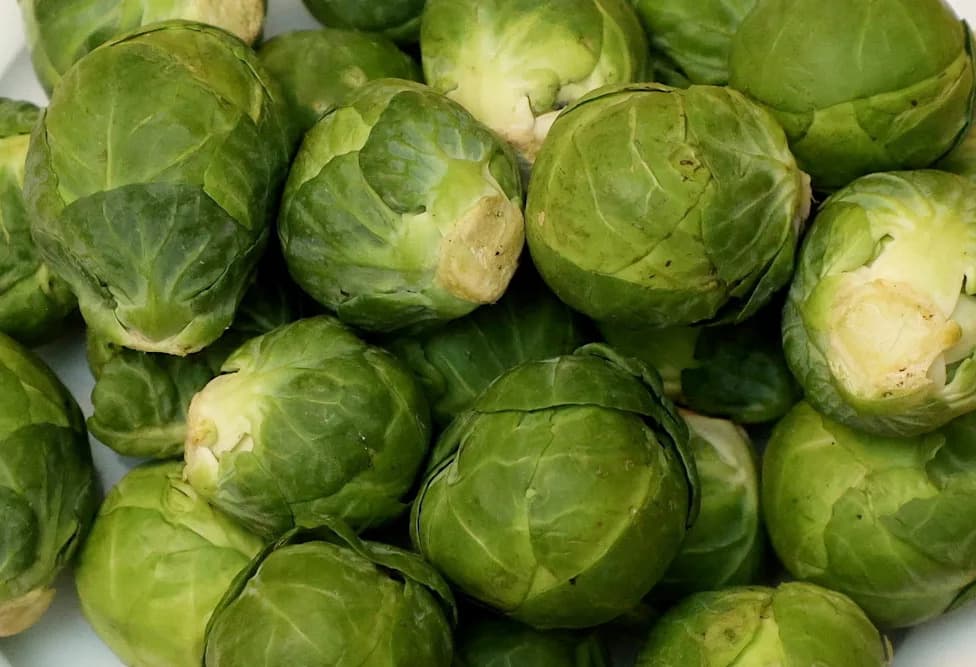 Christmas 2026: Brussels Sprouts Could Be Scarce After Flea Beetle Outbreak and Heatwave