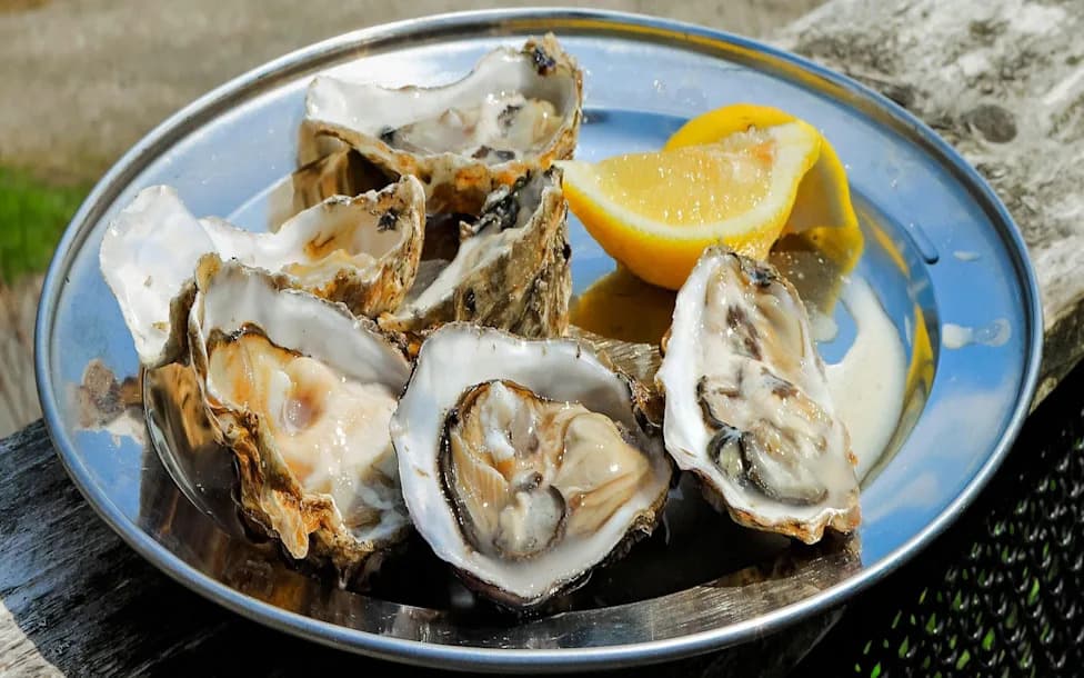 Heatwaves Drive Toxic Algal Blooms, Putting Scotland's £15M Shellfish Industry At Risk