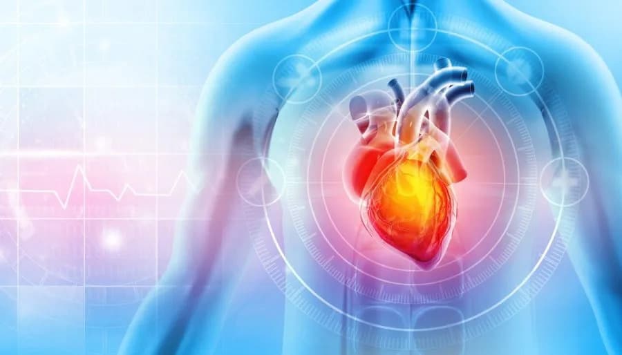 ESC 2026: Higher Blood Xylitol Levels Associated With Increased Heart Attack and Stroke Risk