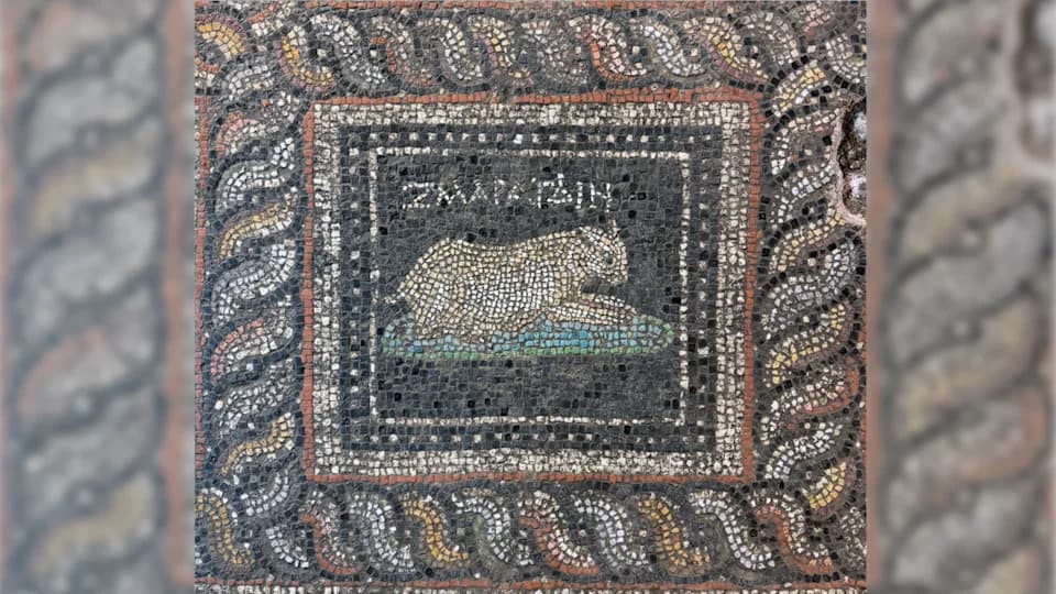 Roman Villa Mosaic in Turkey Names a Cat “Emerald” and a Dog “Ocean” — 2,000-Year-Old Pet Portraits Unearthed
