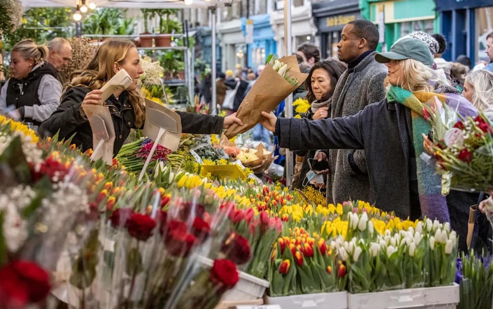 Record Heat Wipes Out Crops — UK Flower Growers Forced Out Of Markets