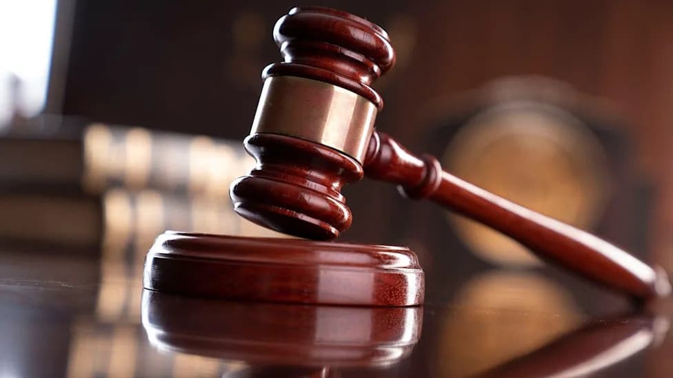 Missouri Foster Mom Avoids Prison After Alleged 'Trade' of Teen for Monkey; Judge Revokes License