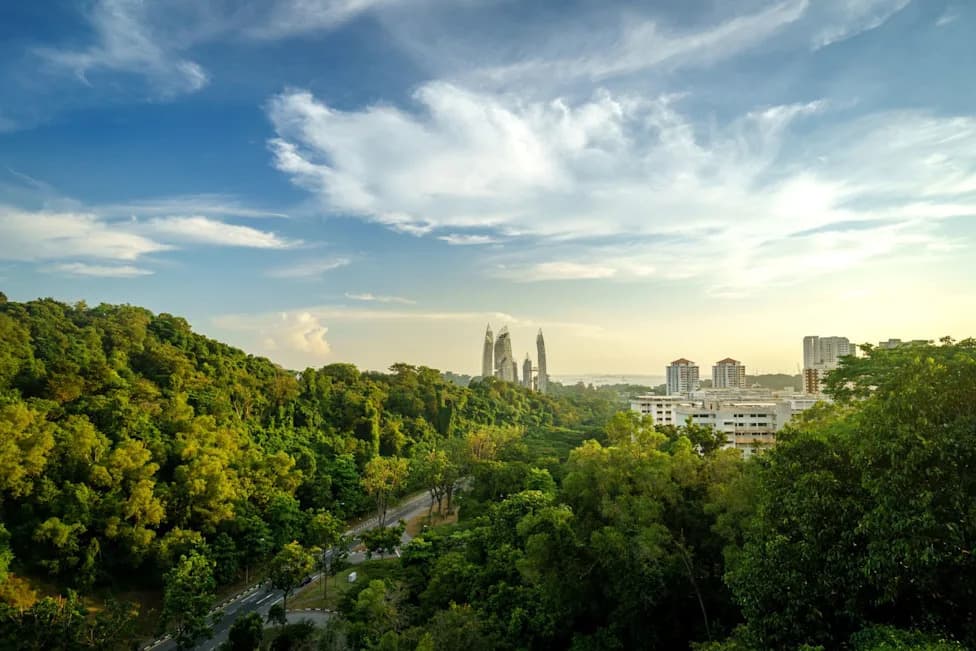 Maju Forest Showdown: Scientists Warn Clearing Singapore’s Urban Woods Will Heighten Heat, Pollution and Flood Risk