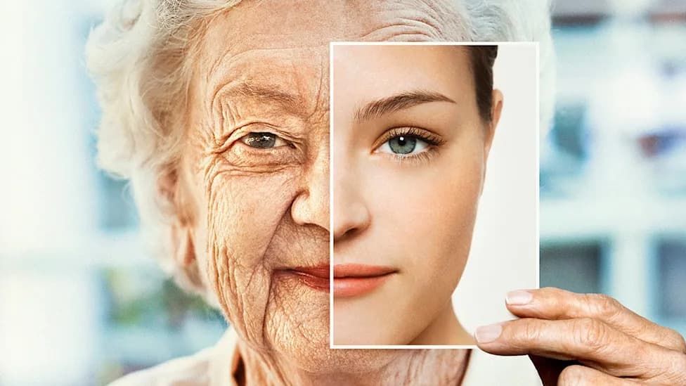 Blocking the EP2 Immune Receptor Restores Youthful Function and Reverses Signs of Aging in Mice