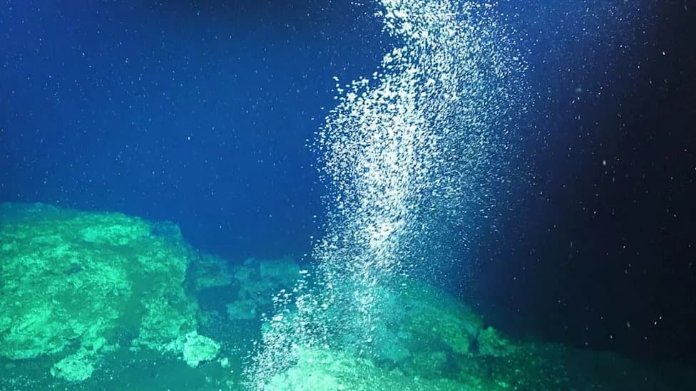 Ocean Life Rapidly Sealed a Methane Leak Under the South China Sea — What It Means For Drilling