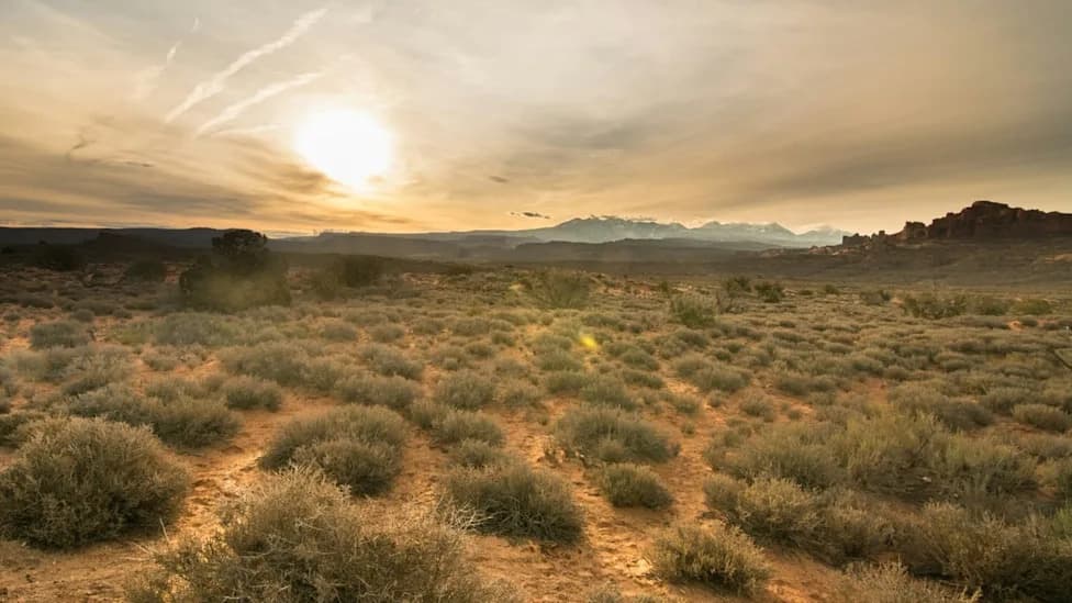 Study: Earth's Drylands Could Expand to Over 40% of Land Area by 2100 — But Rising CO2 May Partly Slow It