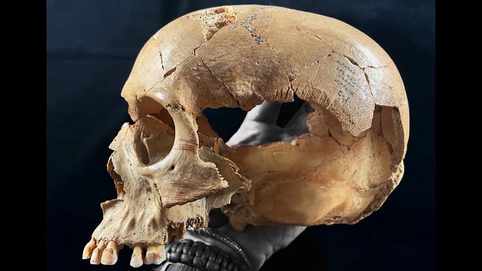 Neolithic Cannibalism in Southern Spain: Diverse Methods and Motivations Revealed