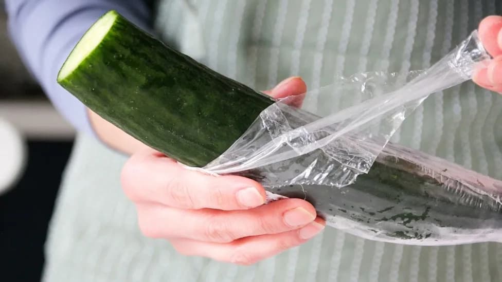 Seven-Day Low‑Plastic Diet Cuts Urinary Plastic Chemicals Up To 60%, Trial Finds