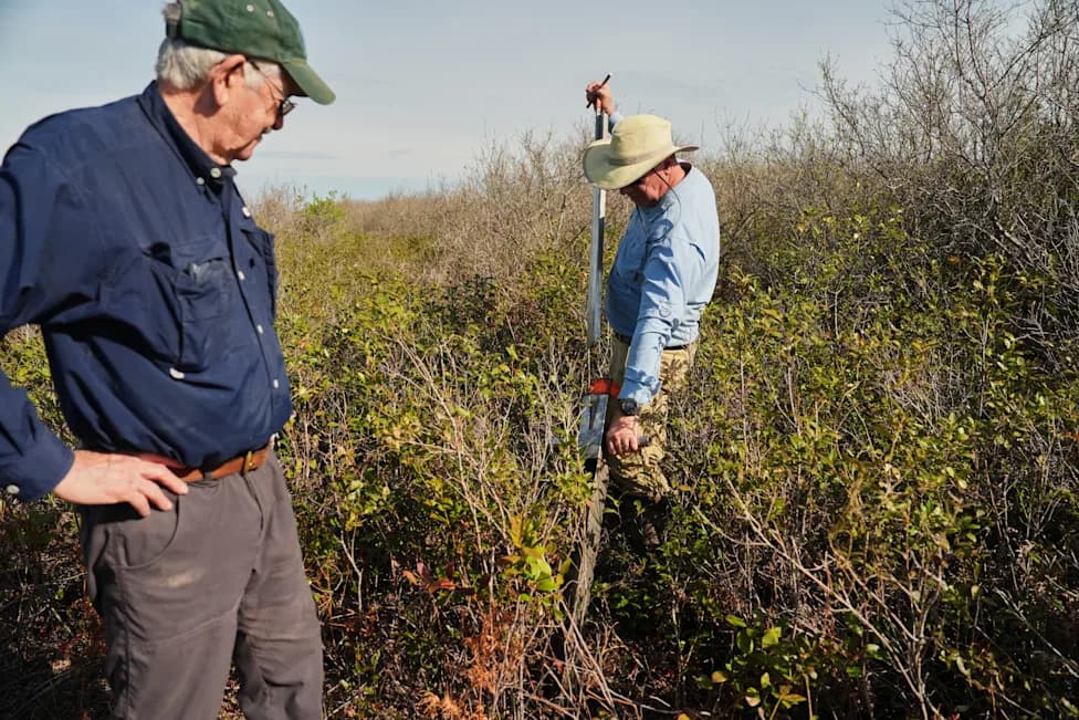 Racing To Rewet 'Black Gold': Restoring North Carolina's Peatlands Before They Burn