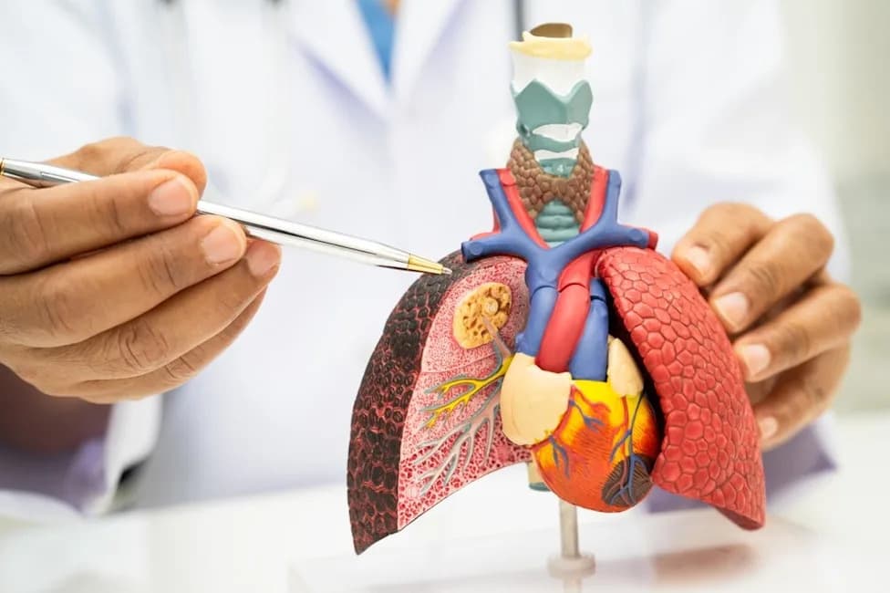 Imfinzi–Imdelltra Combination Delivers Overall Survival Win in Frontline ES‑SCLC — Phase III DeLLphi‑305 Could Reshape Care