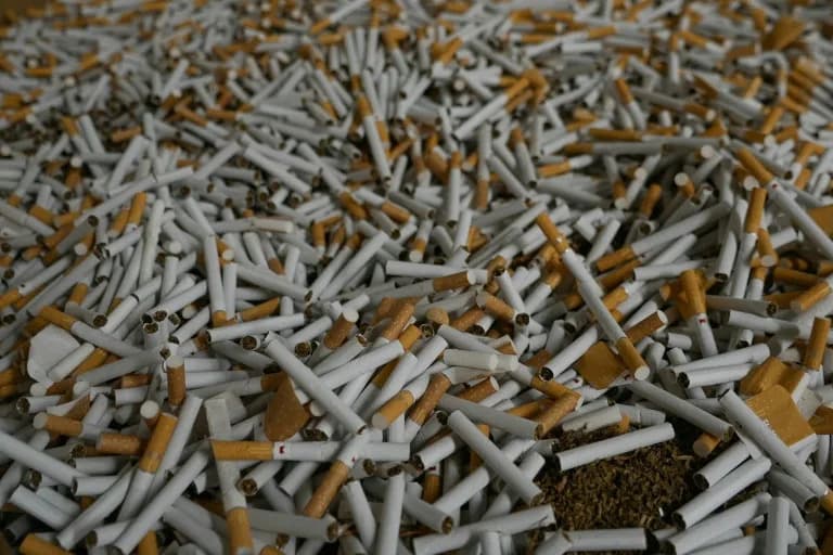 Belgium Cracks Down: Customs Seize 4.5 Million Counterfeit Cigarettes in Ninove Raid