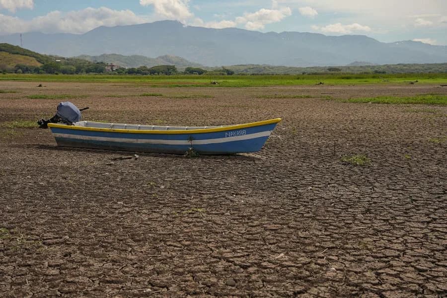 FAO Warns Rapidly Strengthening El Niño Could Trigger Widespread Agricultural Drought