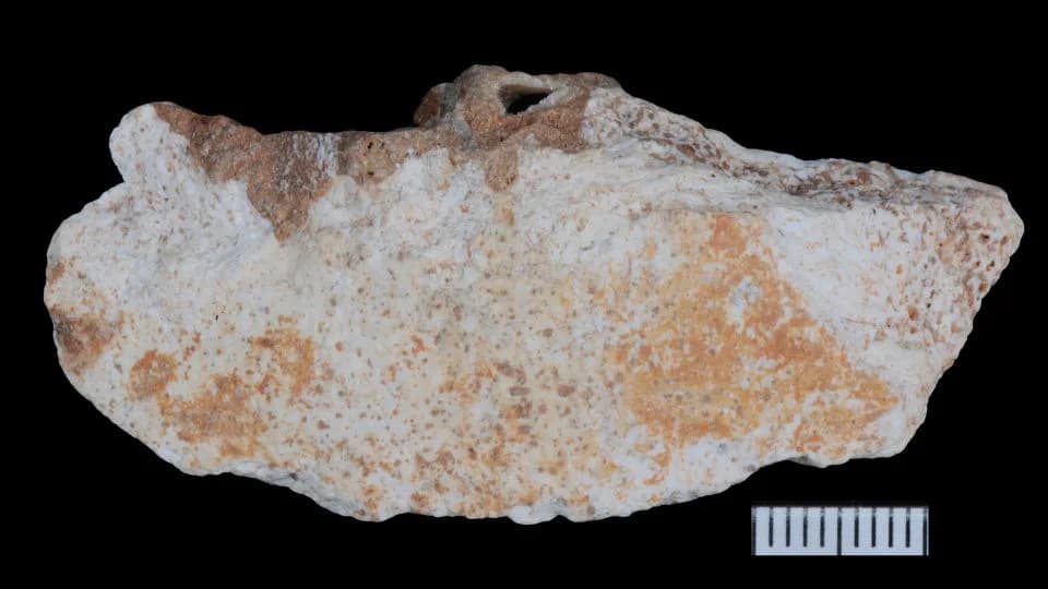 Seven Denisovan Fossils Unearthed in Yunnan Cave Reveal New Clues About Their Lives