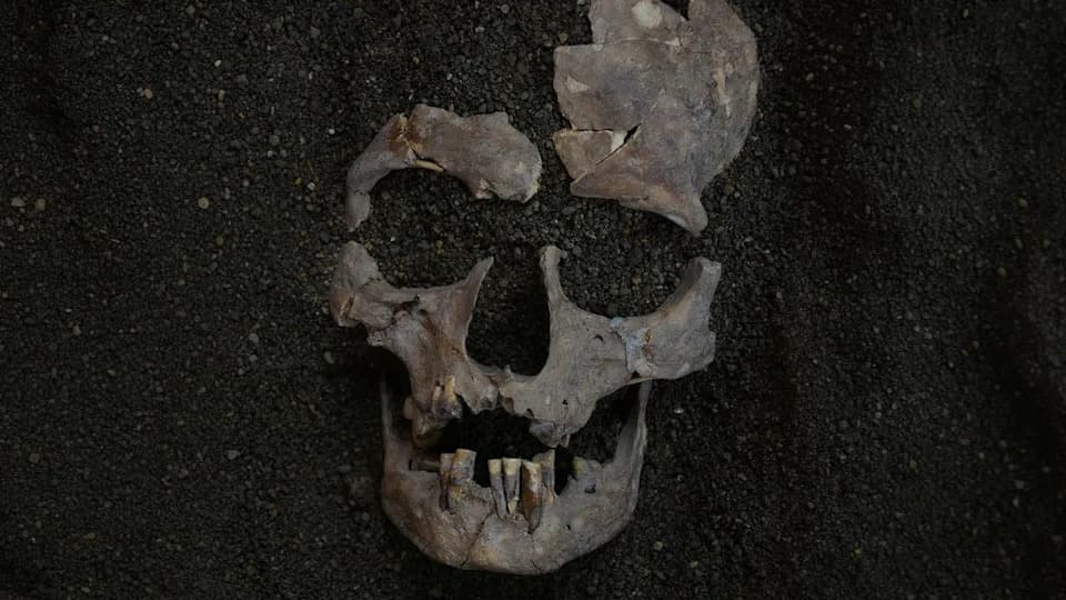 25,000-Year-Old Evidence of Habitual Betel Use Found on Sulawesi