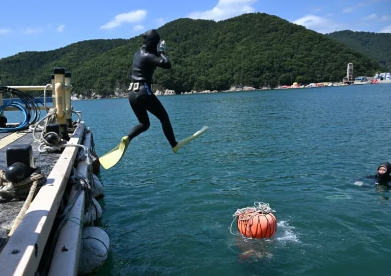Young Women Leave Korea's Corporate Grind To Revive Haenyeo Free-Diving Tradition