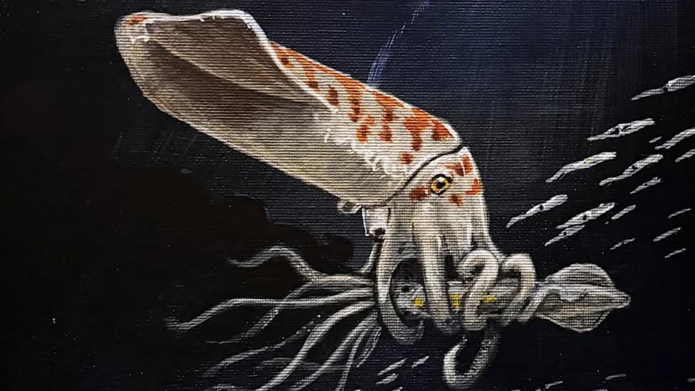 “Chunkiest Squid Butt” Leads to Discovery of New 160‑Million‑Year‑Old Belemnite
