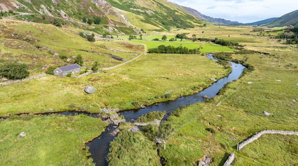 Snowdonia Valley Declared In 'Nature Emergency' — £1m Plan to Restore 4,040 Acres and Protect Rare Species