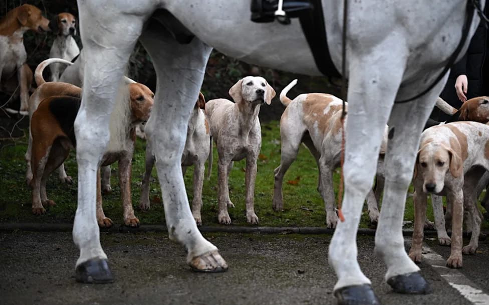 Cheshire Police Criticised After Two Hunt Prosecutions Collapse Amid Questions Over Evidence