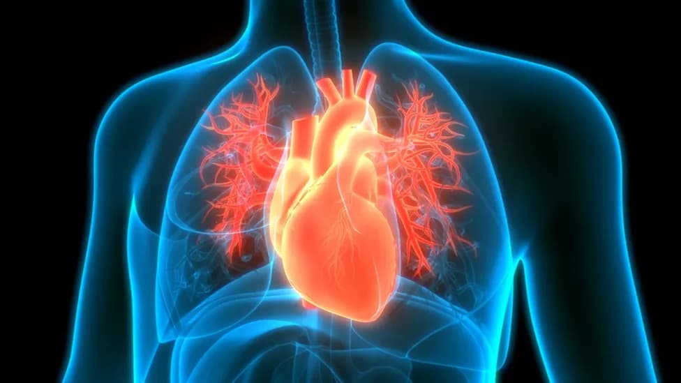 ARPA‑H Commits $62.7M to Build Autonomous AI 'Digital Clinician' for Heart Failure Care