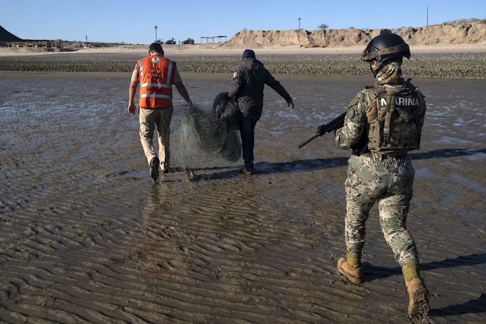 Race to Save the Vaquita: Training a New Generation to Prevent Extinction
