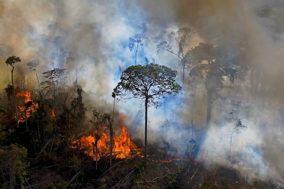 Collapse of Natural Systems Could Boost Human-Driven Warming by Up to 30%, New Study Warns