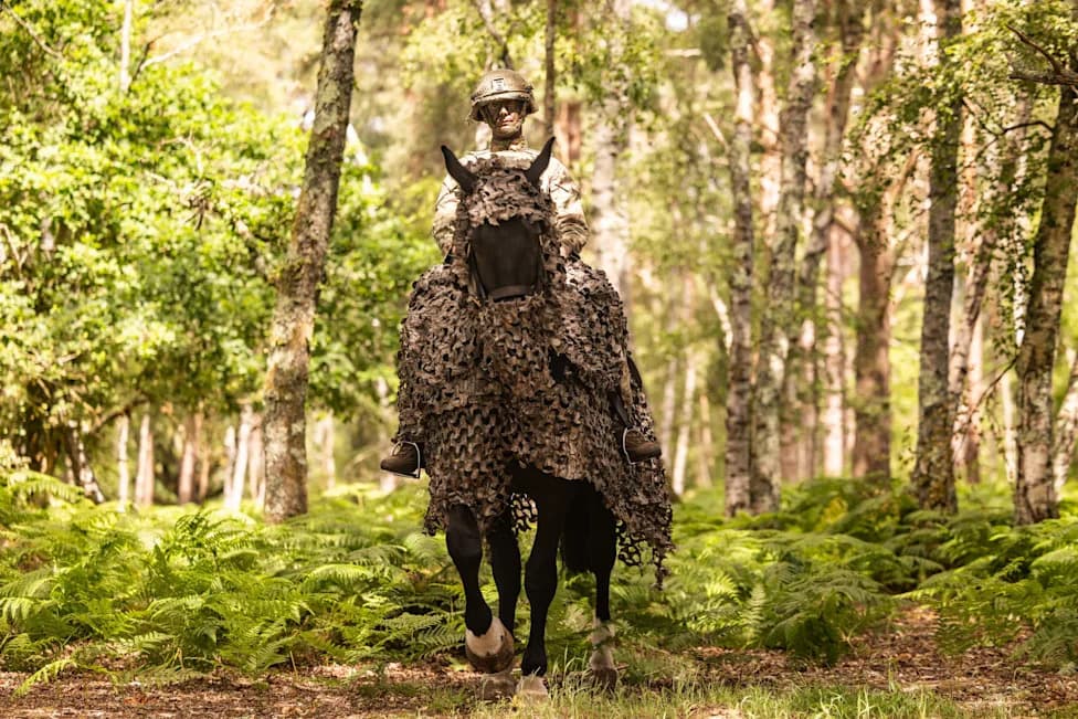 UK Trials Camouflage for Horses as Military Explores Mounted Capabilities