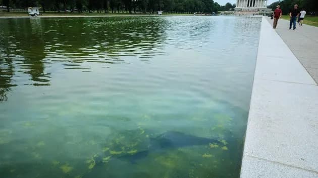 Contractor Admits Design, Execution Errors Caused Lincoln Reflecting Pool Damage — Not Vandalism