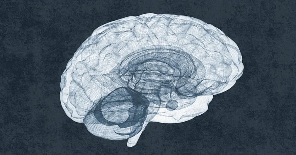 This Is Your Brain On Focused Ultrasound: A Scalpel‑Free Approach To Addiction