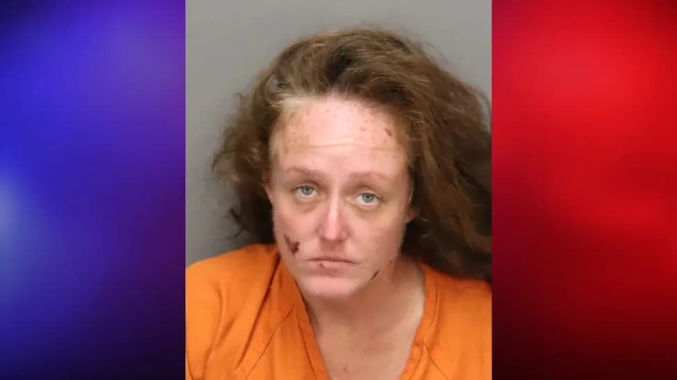 St. Petersburg Gas Station Attack: Woman Allegedly Sets Stranger Ablaze After Borrowing Phone