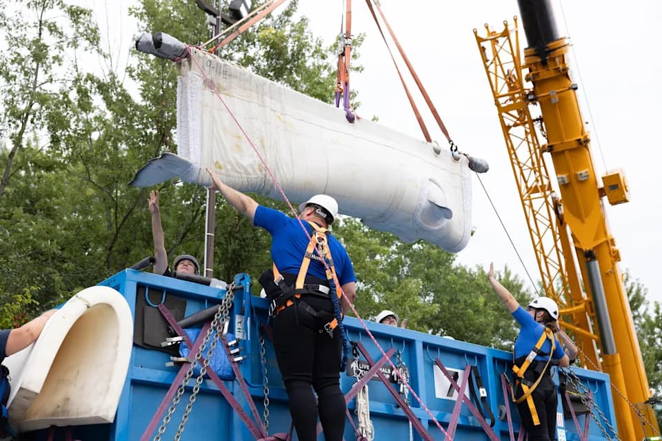 30 Beluga Whales Rescued: Inside History’s Largest Marine Mammal Relocation