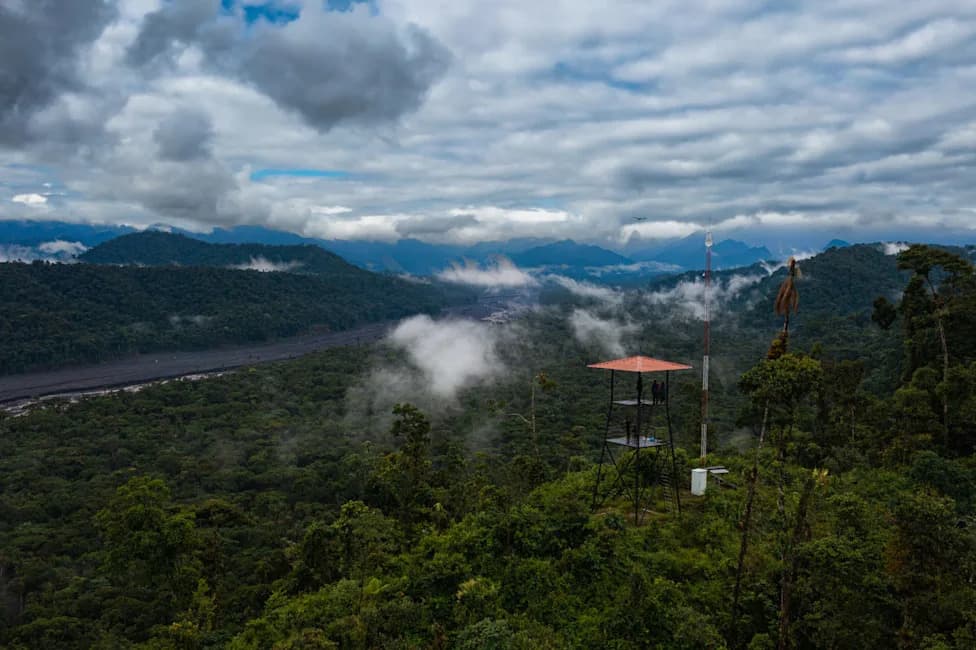 Study: Community And Indigenous Stewardship Often Outperform State Protection In Ecuador’s Amazon