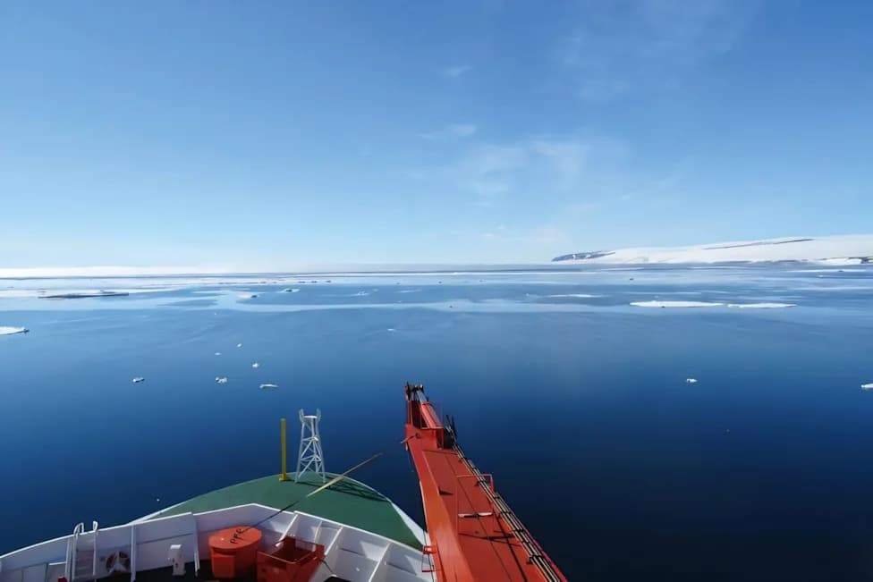 Surprising Effect: Marine Heat Waves Can Increase CO2 Uptake In Polar Coastal Seas