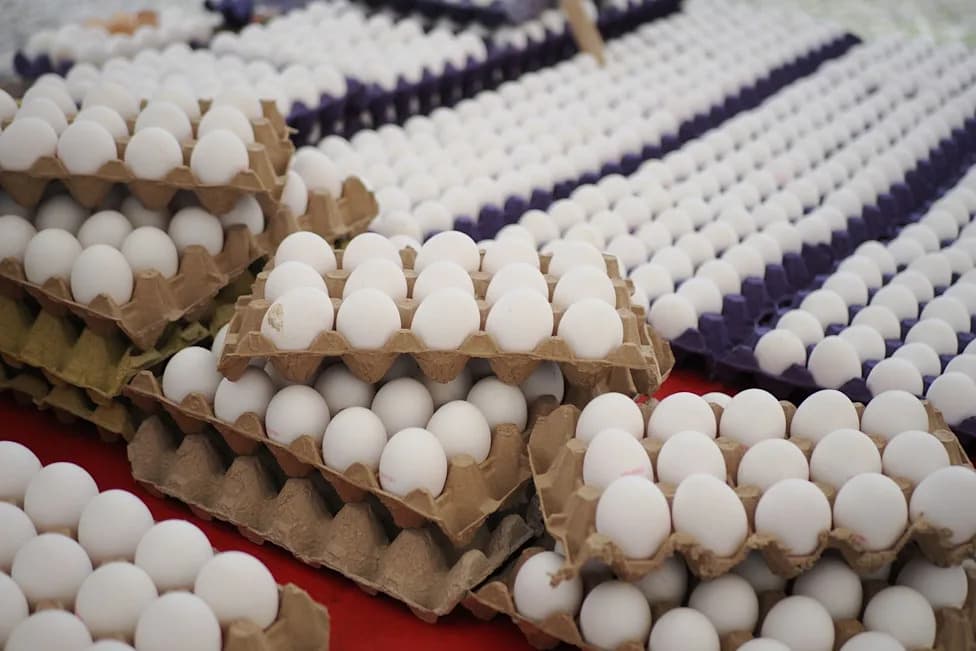 Texas Food Banks To Receive More Than 7 Million Eggs After Antitrust Settlement